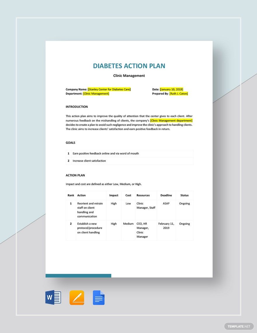 Diabetes Action Plan Template in Word, Google Docs, Apple Pages