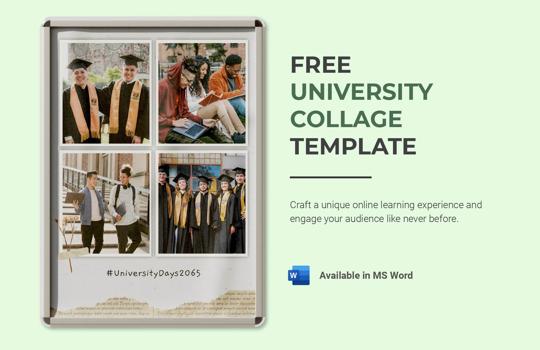 Free University Collage Template in Word
