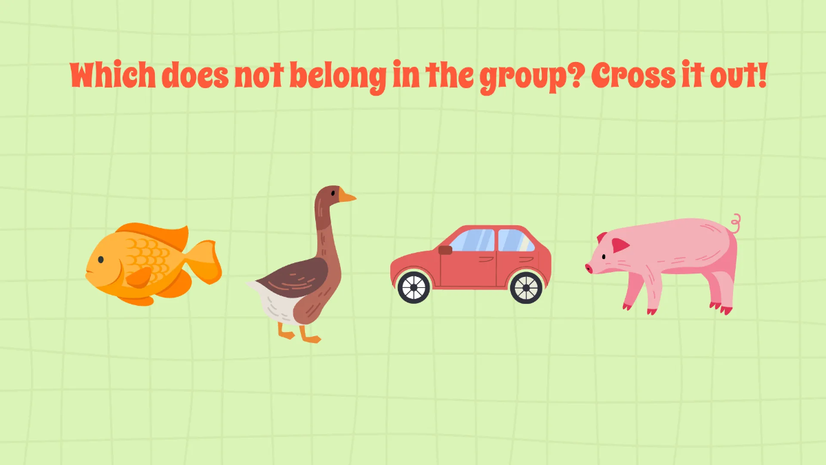 Free Grouping Objects Based on Similarities and Differences Template to Edit Online