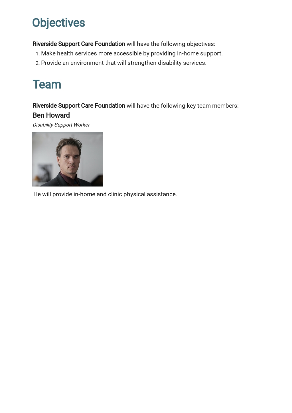 Disability Action Plan Template Free PDF Word DOC Apple MAC