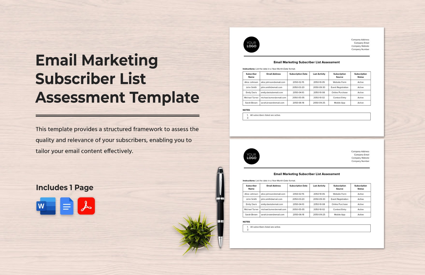 Email Marketing Subscriber List Assessment Template