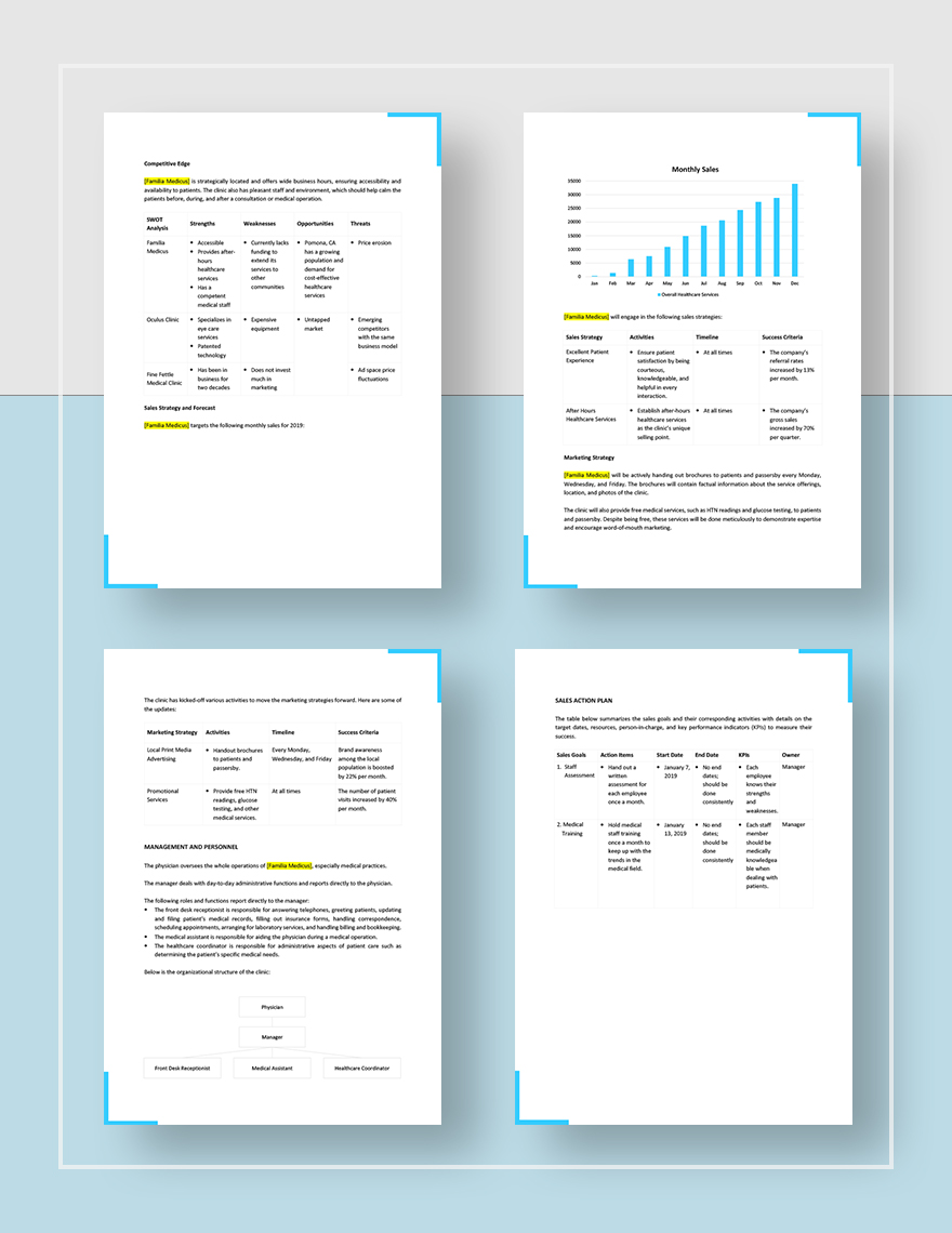 Medical Clinic Sales Plan Template