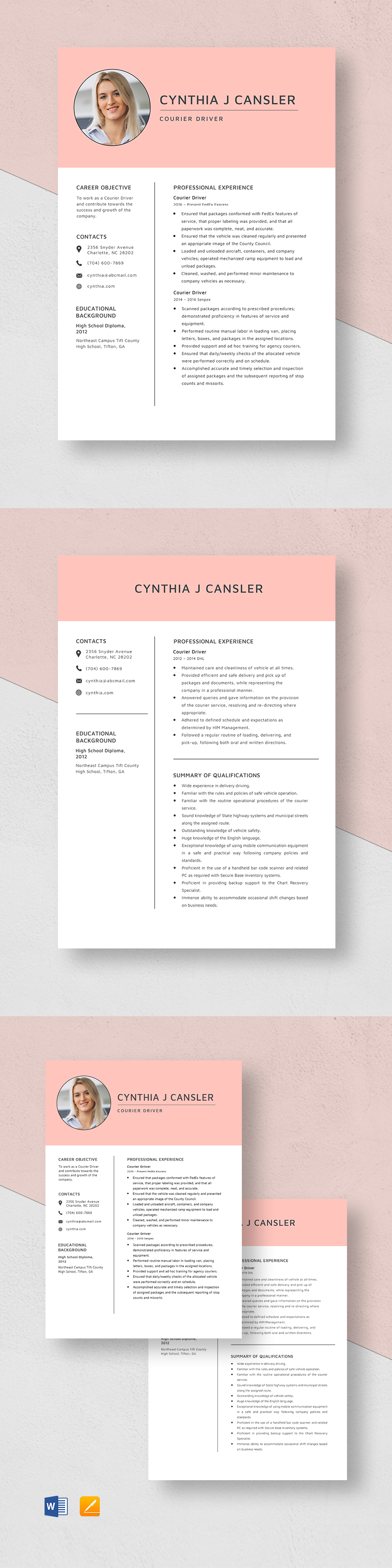 Home Delivery Driver Resume Template - Word, Apple Pages | Template.net