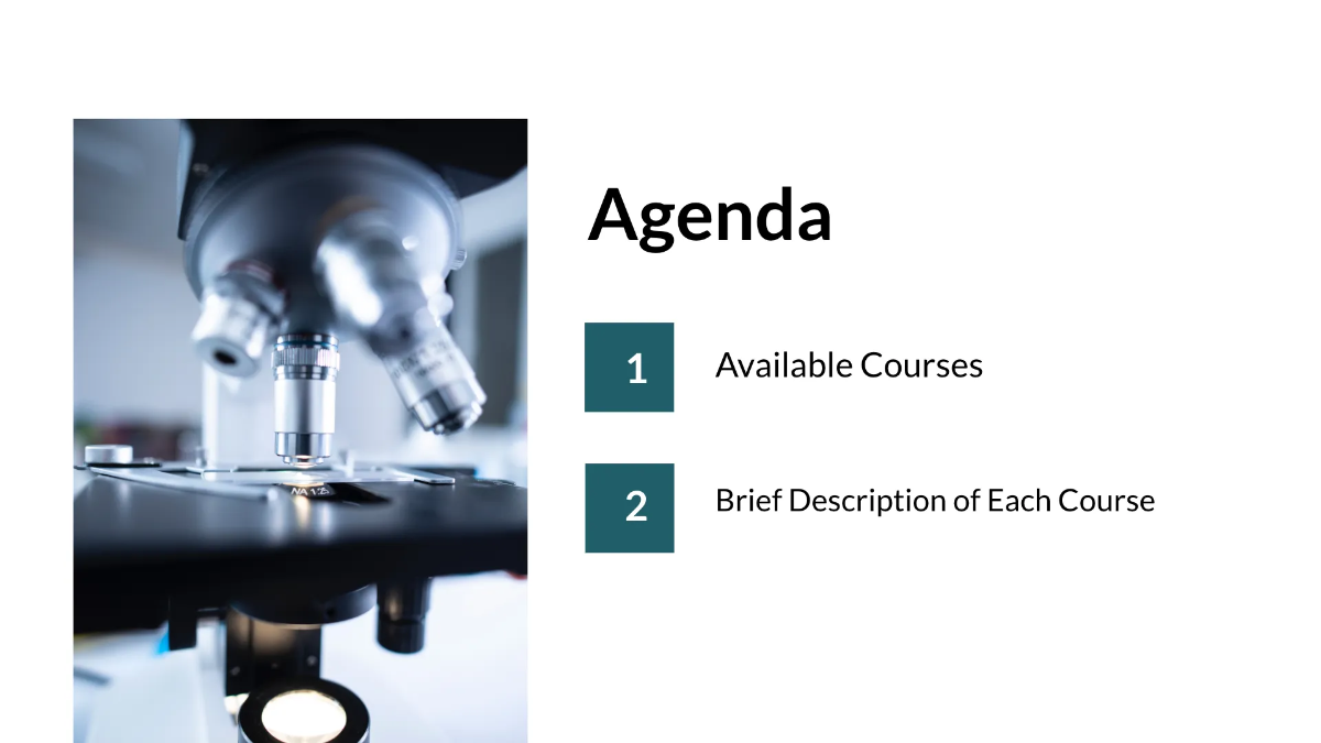 Free Medical School Presentation Template to Edit Online