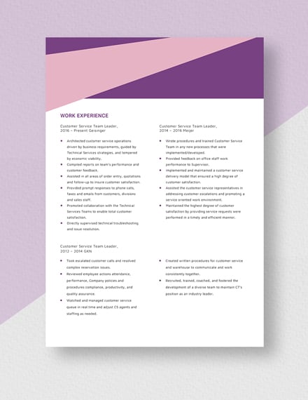 Customer Service Team Leader Resume/CV Template - Word | Apple Pages