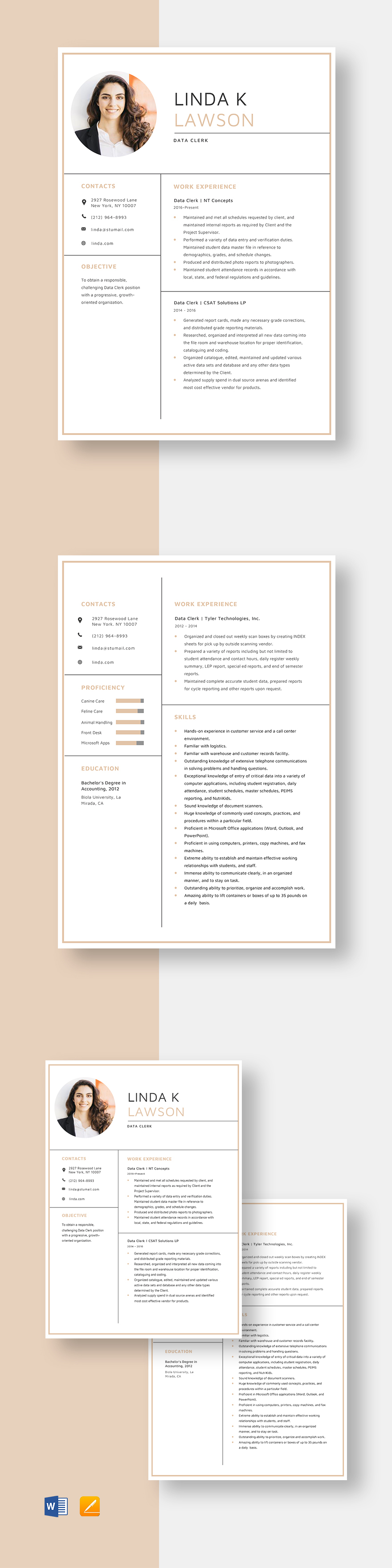 Data Entry Clerk Resume Template - Illustrator, InDesign, Word, Apple ...