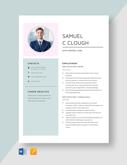 Data Entry Clerk Resume Template - Illustrator, InDesign, Word, Apple ...