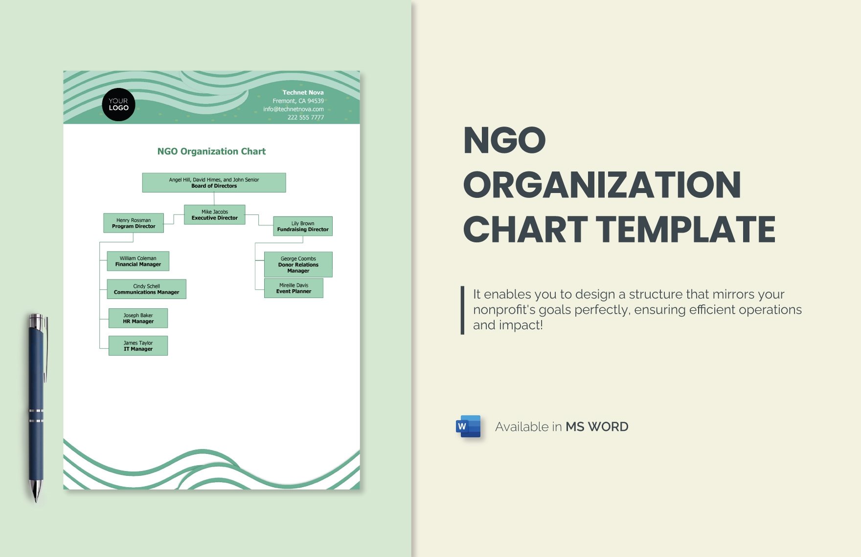 NGO Organization Chart Template