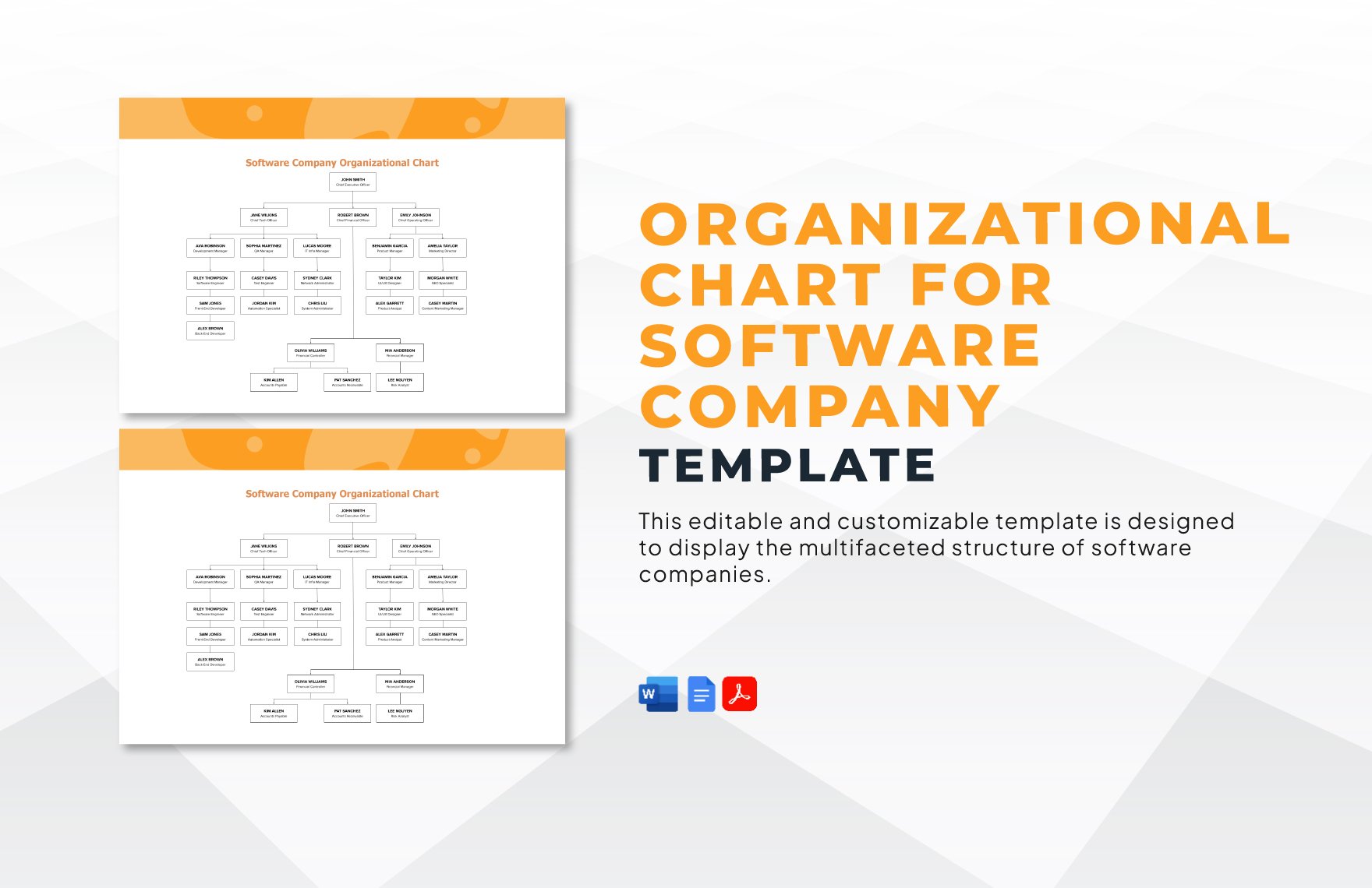 Organizational Chart for Software Company Template