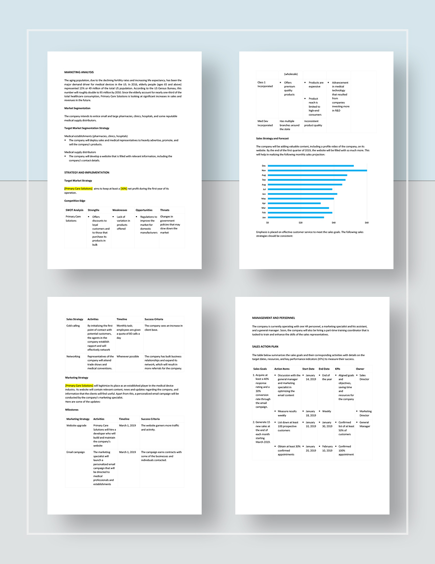 Medical Device Sales Plan Template