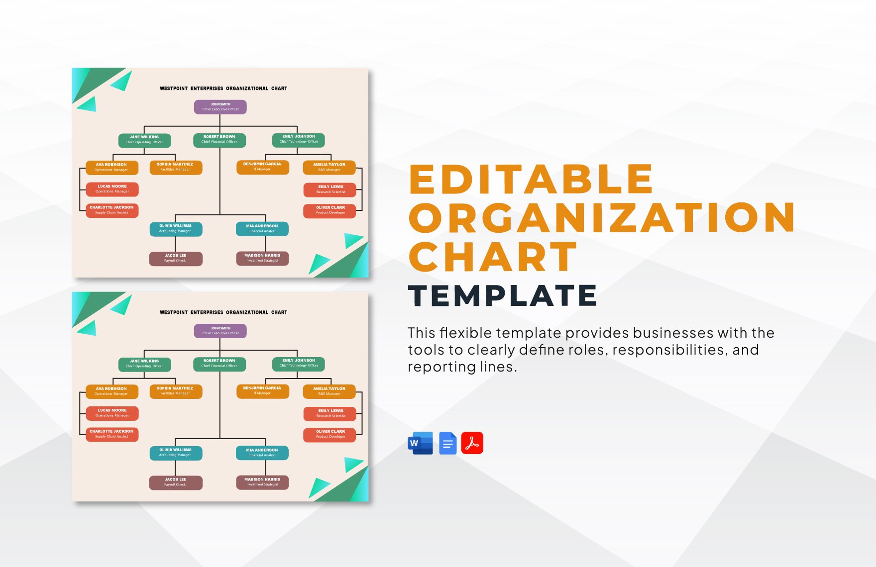 Editable Organization Chart Template