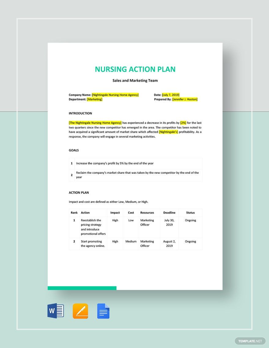 Nursing Action Plan Template