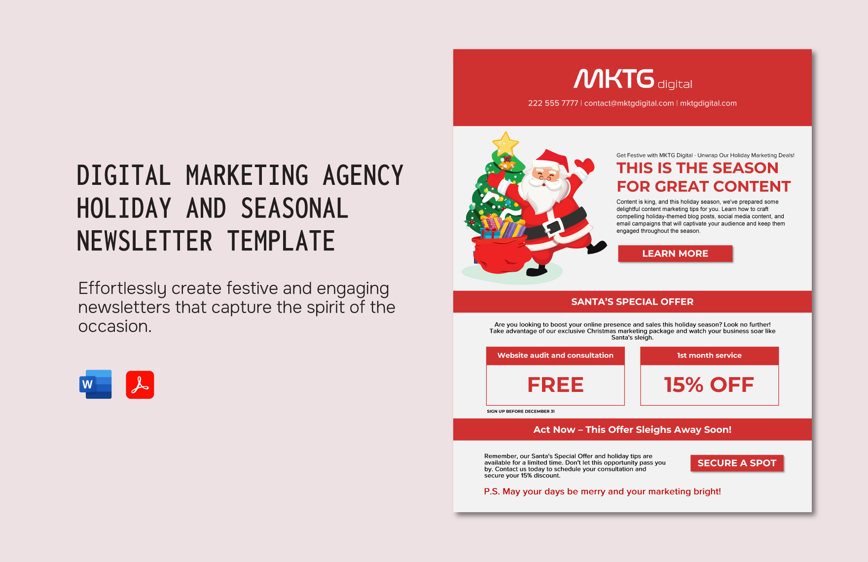 Digital Marketing Agency Holiday and Seasonal Newsletter Template in Word, PDF