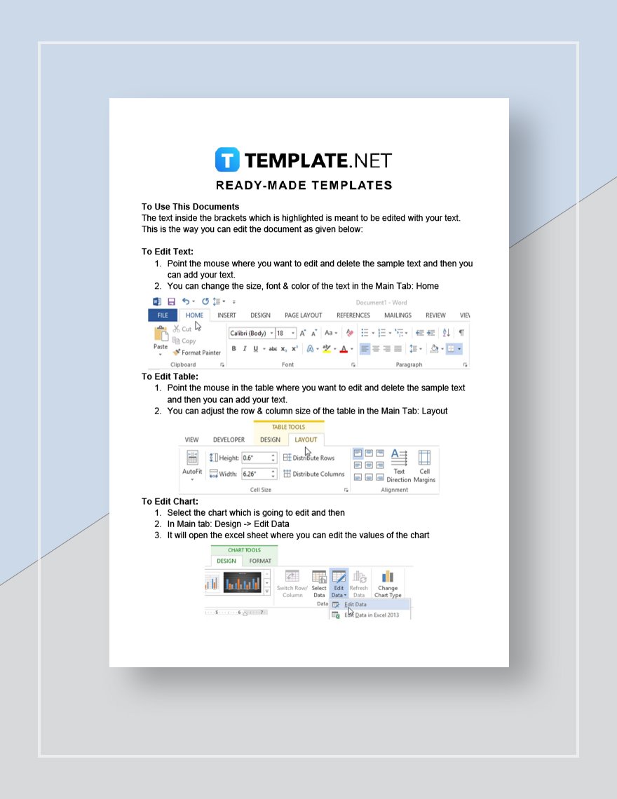 Territory Sales Plan Template in Google Docs Word Pages Download