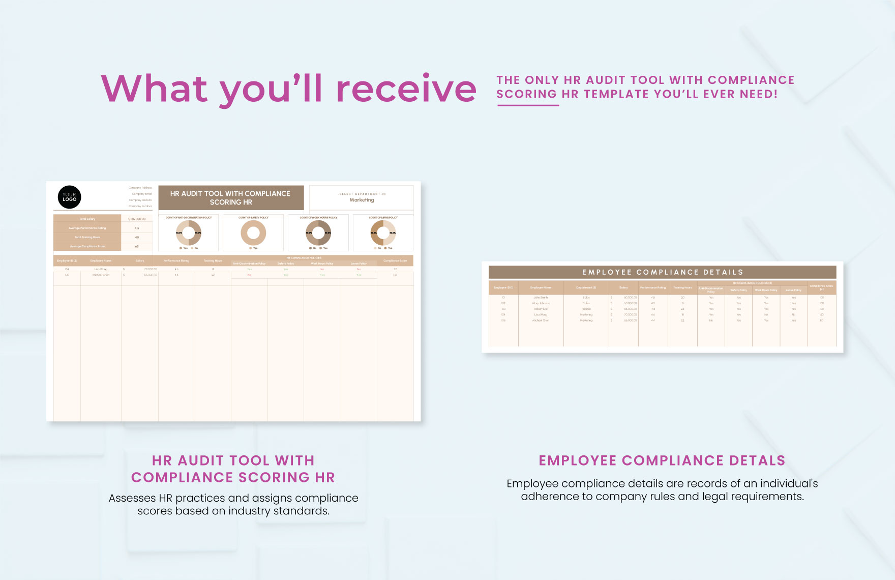 HR Audit Tool with Compliance Scoring HR Template