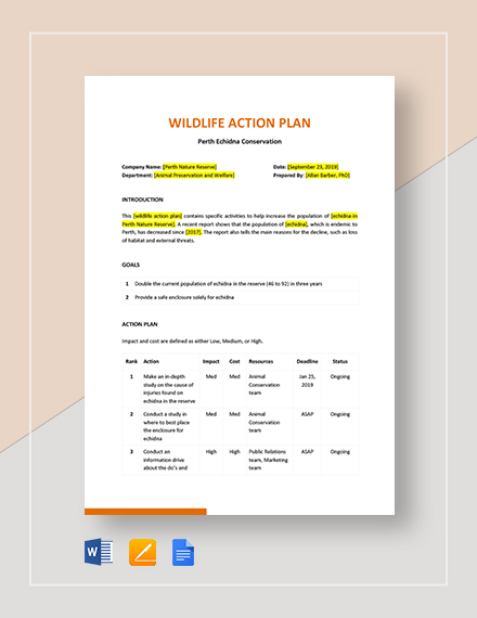 Health and Safety Action Plan Template - Google Docs, Word, Apple Pages ...