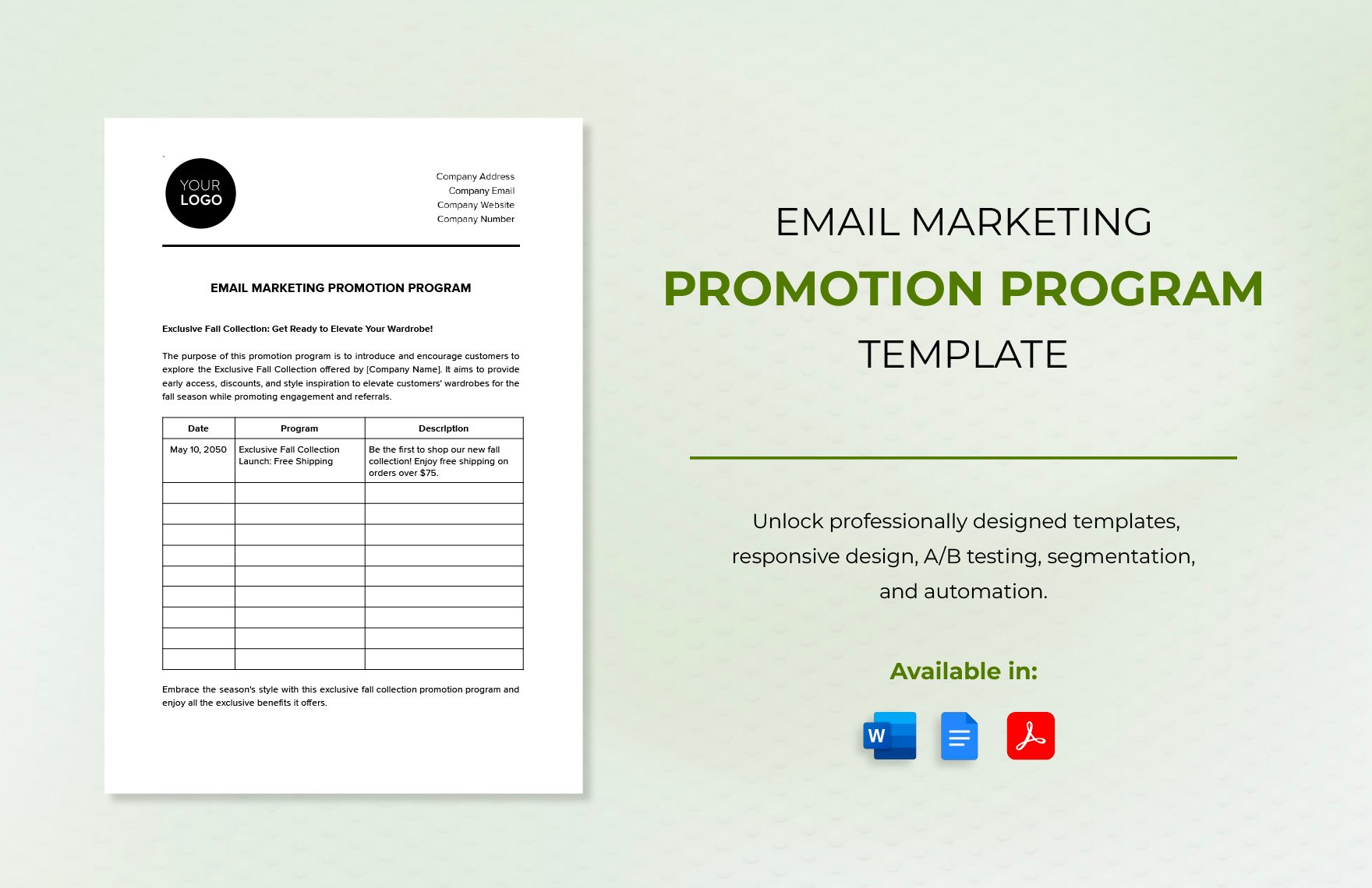 Email Marketing Promotion Program Template