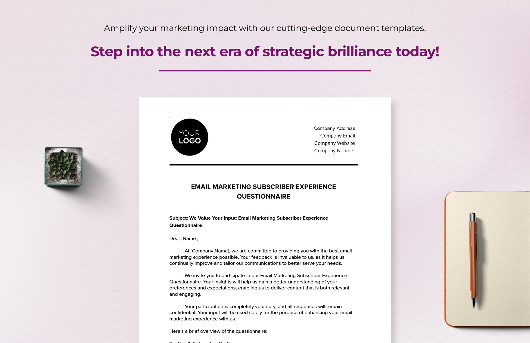 Email Marketing Subscriber Experience Questionnaire Template