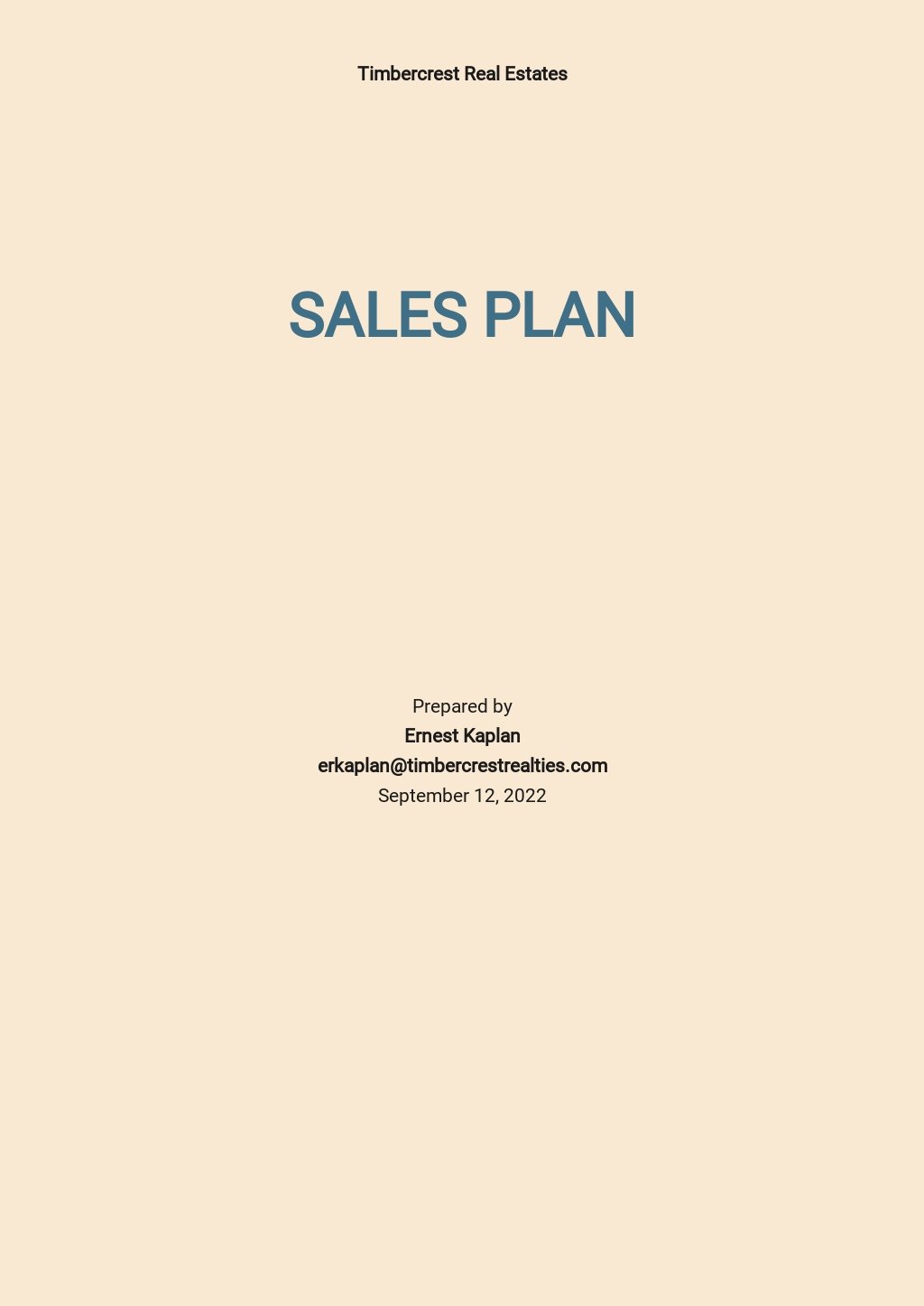 Sample Real Estate Sales Plan Template.jpe