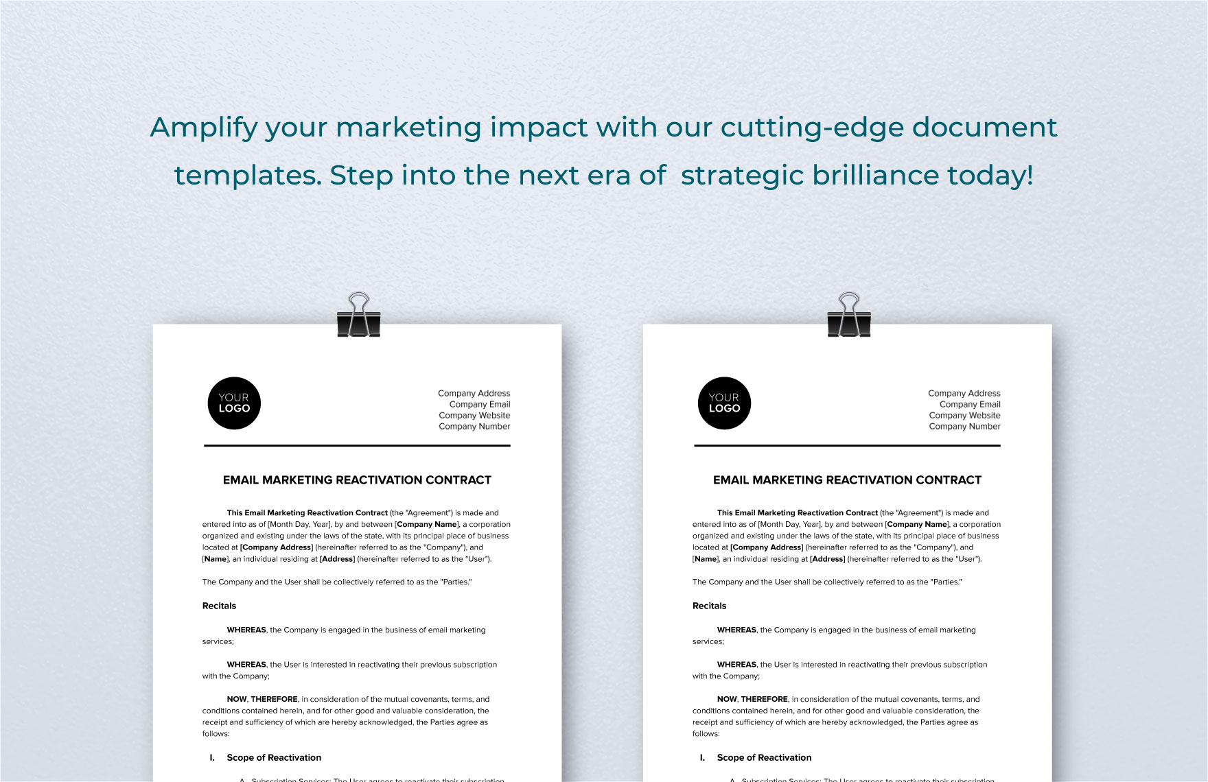 Email Marketing Reactivation Contract Template
