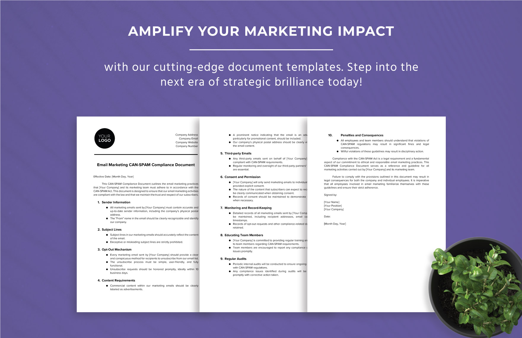 Email Marketing CAN-SPAM Compliance Document Template