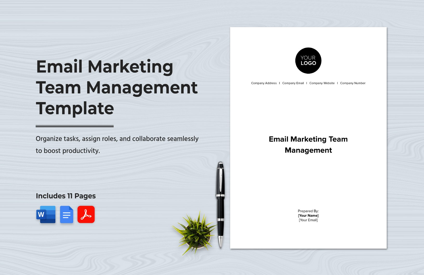 Email Marketing Team Management Template