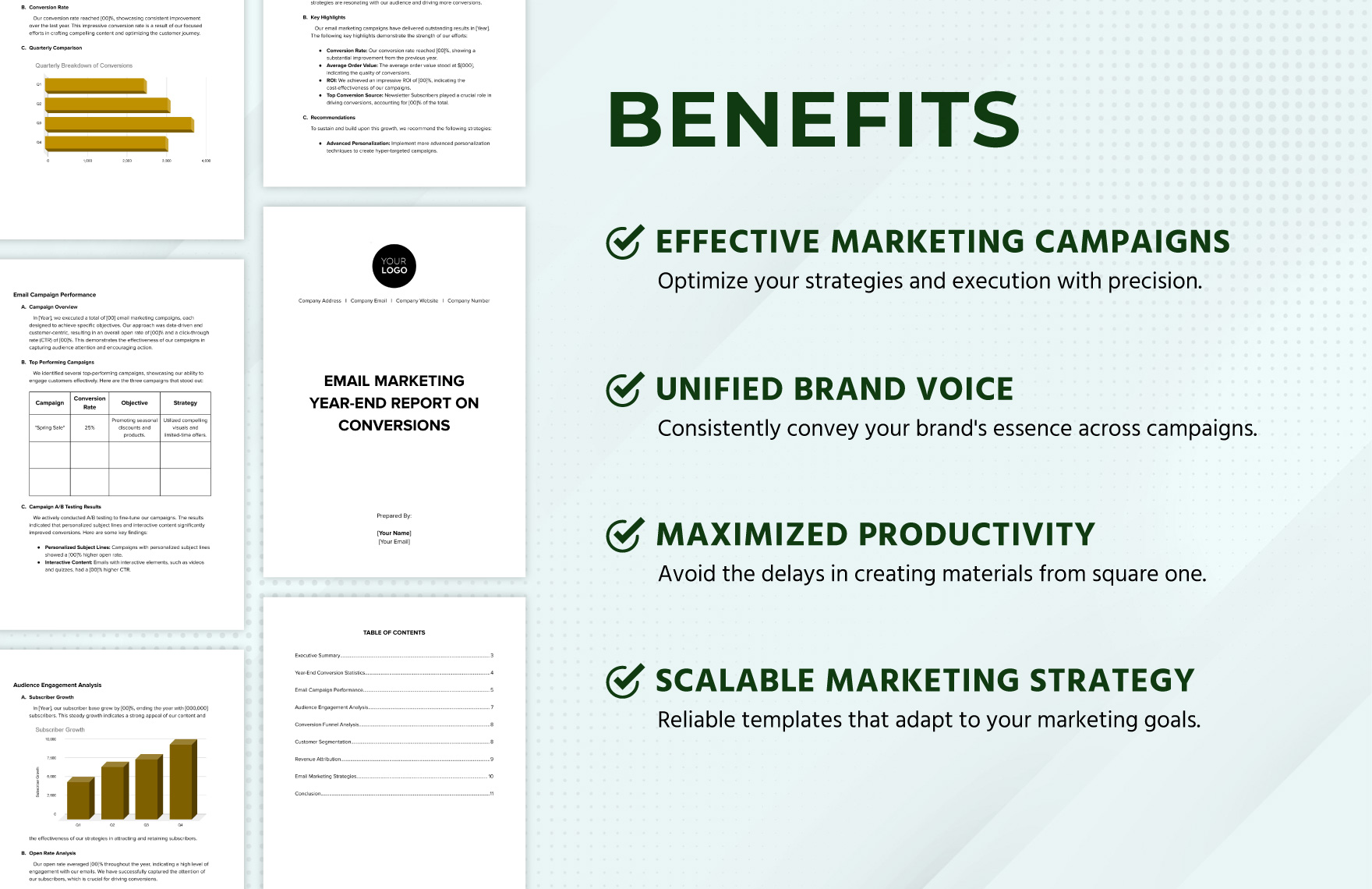 Email Marketing Year-end Report on Conversions Template