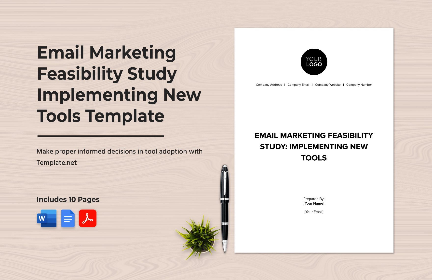 Email Marketing Feasibility Study: Implementing New Tools Template
