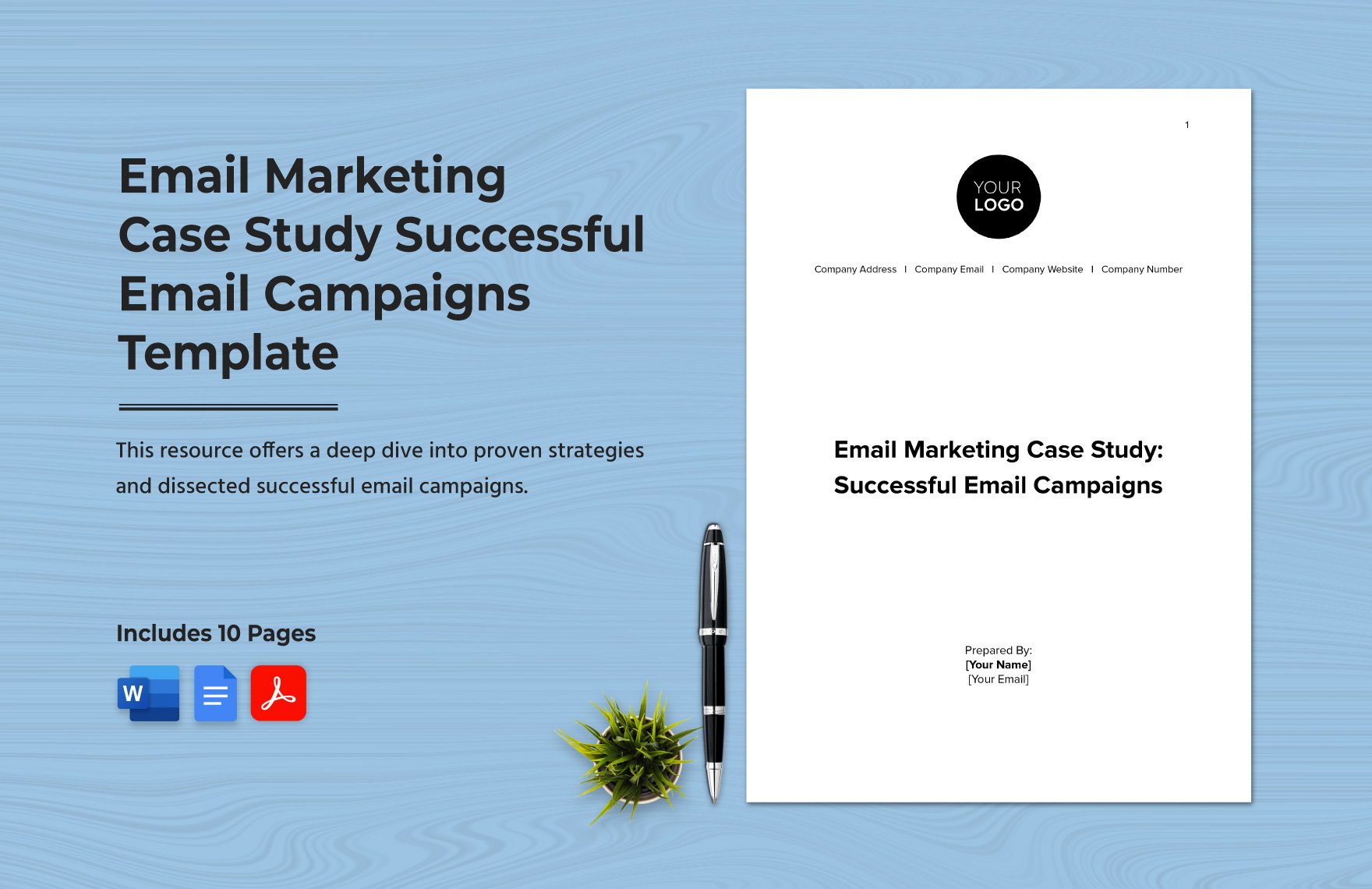 Email Marketing Case Study: Successful Email Campaigns Template