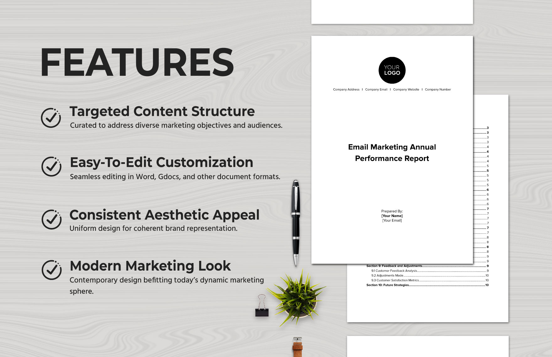 Email Marketing Annual Performance Report Template