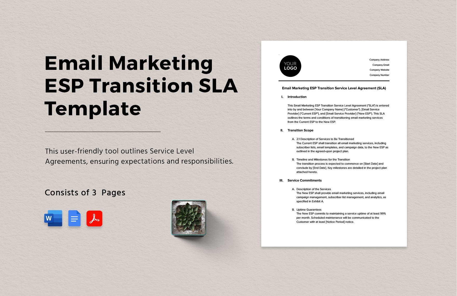 Email Marketing ESP Transition SLA Template