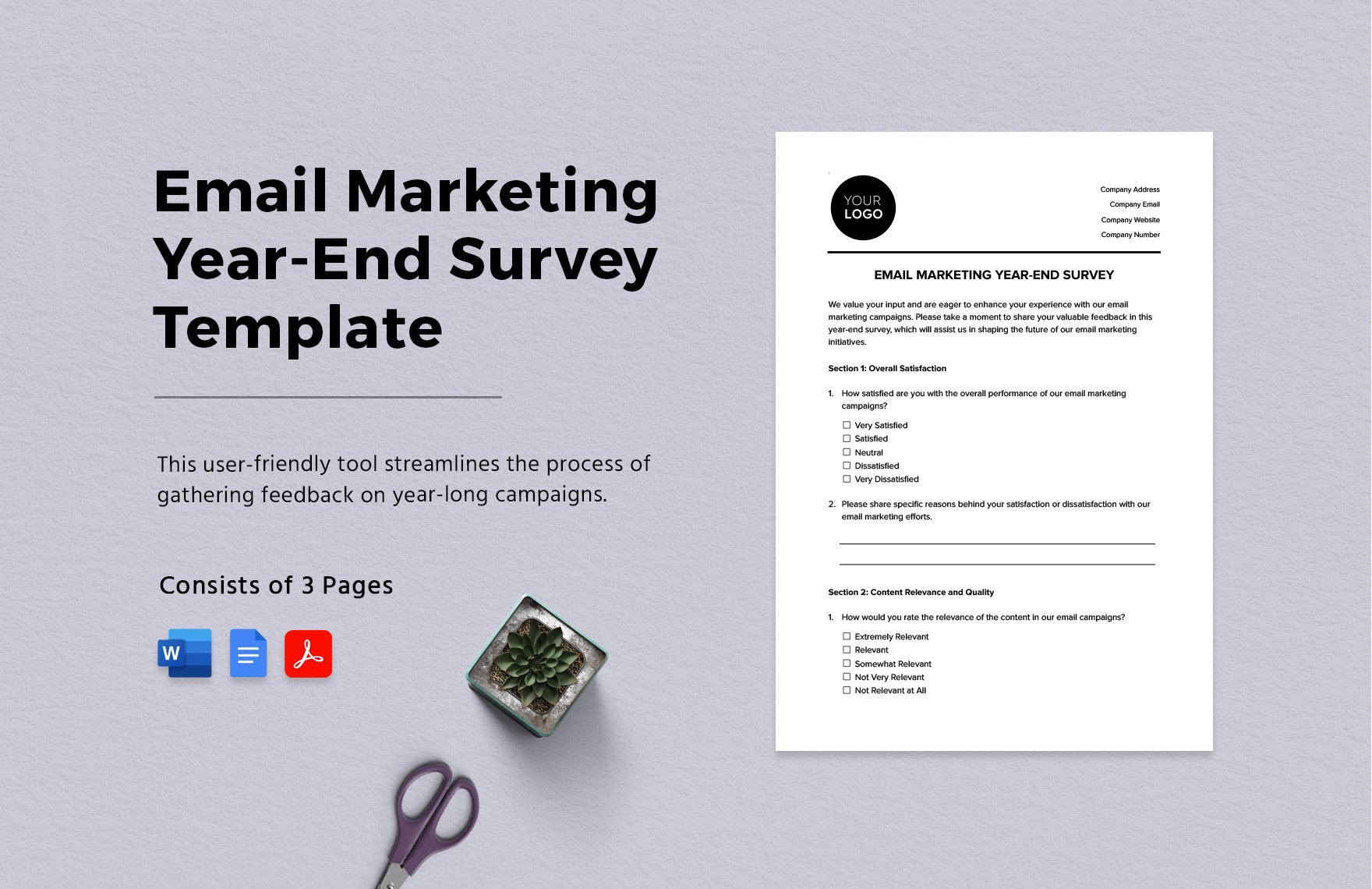 Email Marketing Year-End Survey Template
