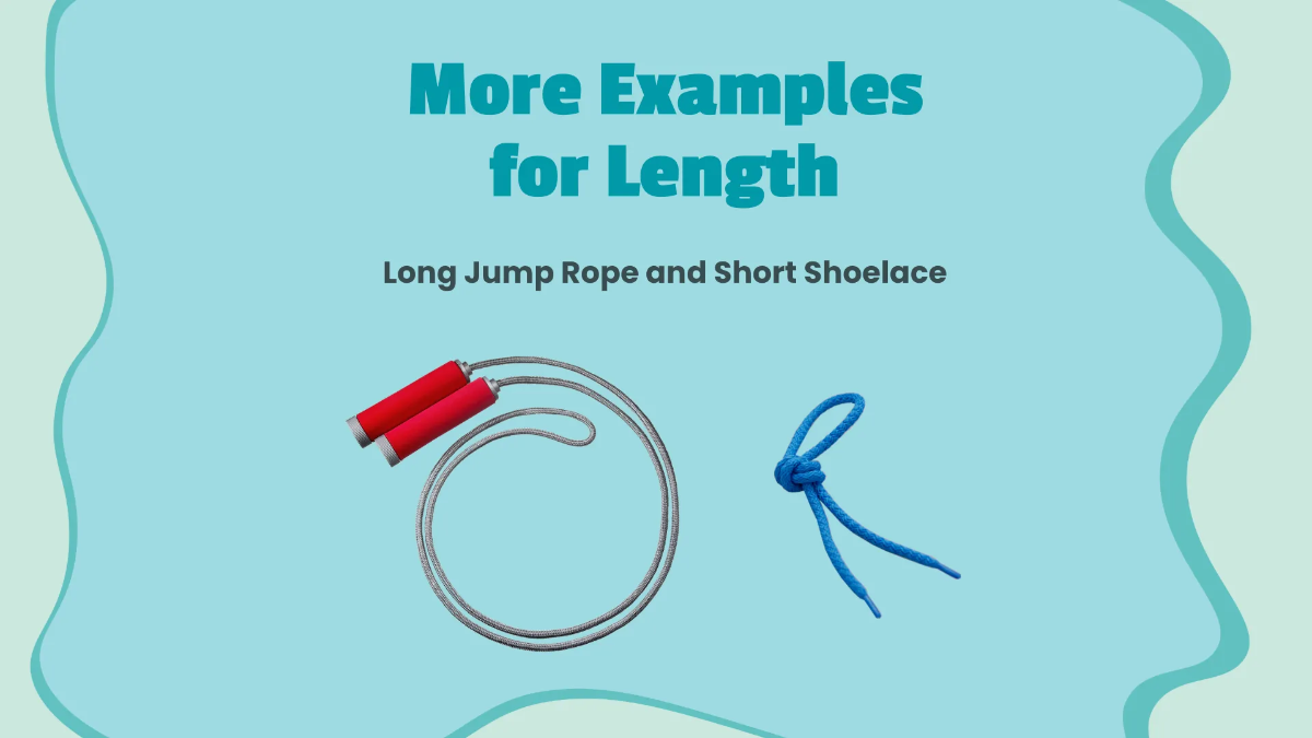 Free Understanding Size and Length Template to Edit Online