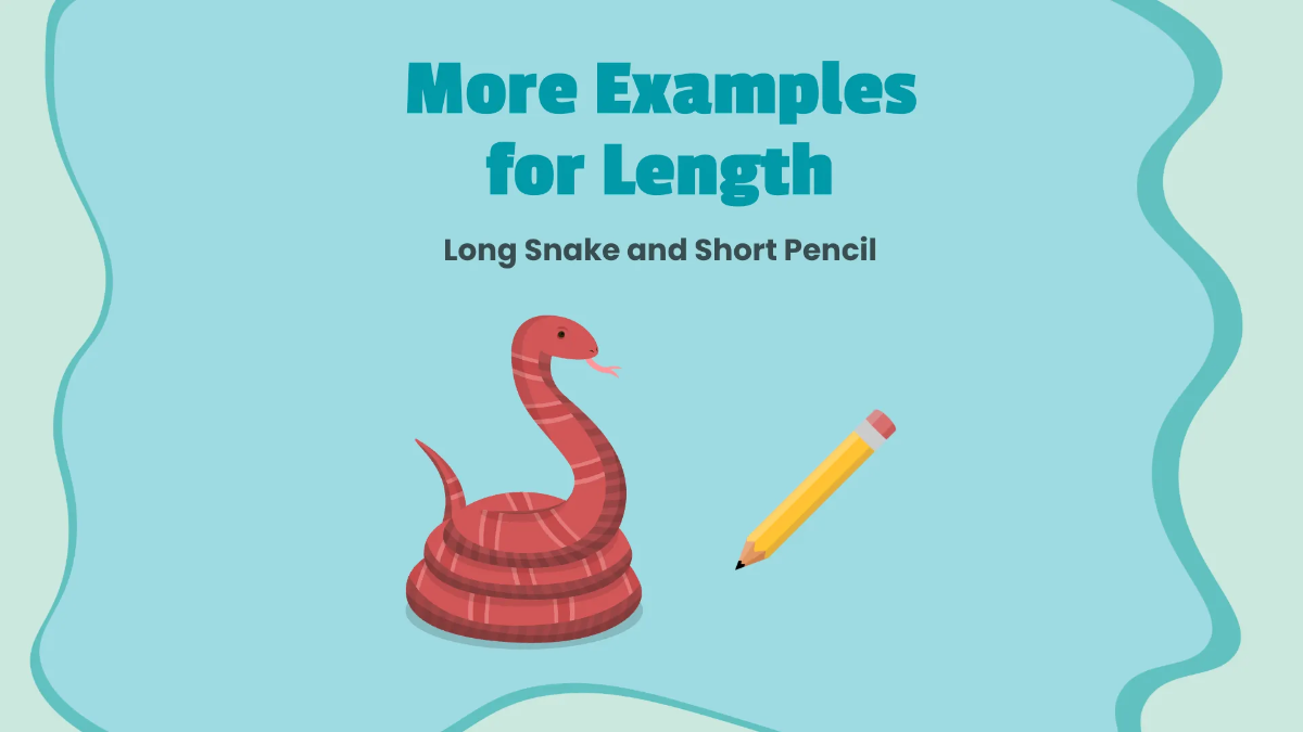 Free Understanding Size and Length Template to Edit Online