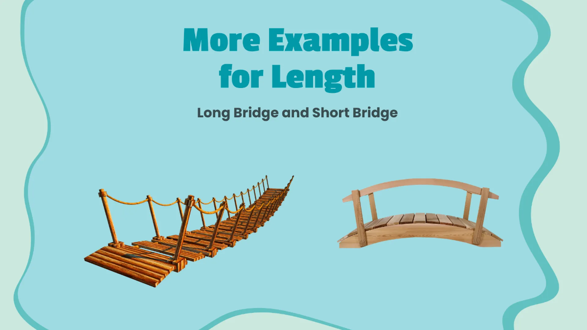 Free Understanding Size and Length Template to Edit Online