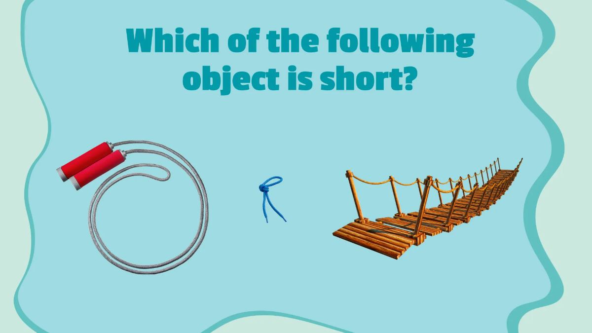 Free Understanding Size and Length Template to Edit Online