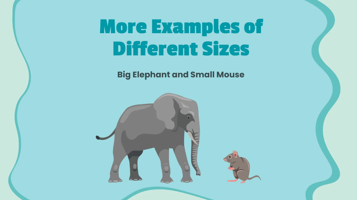 Free Understanding Size and Length Template to Edit Online