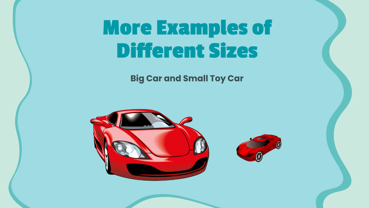 Free Understanding Size and Length Template to Edit Online