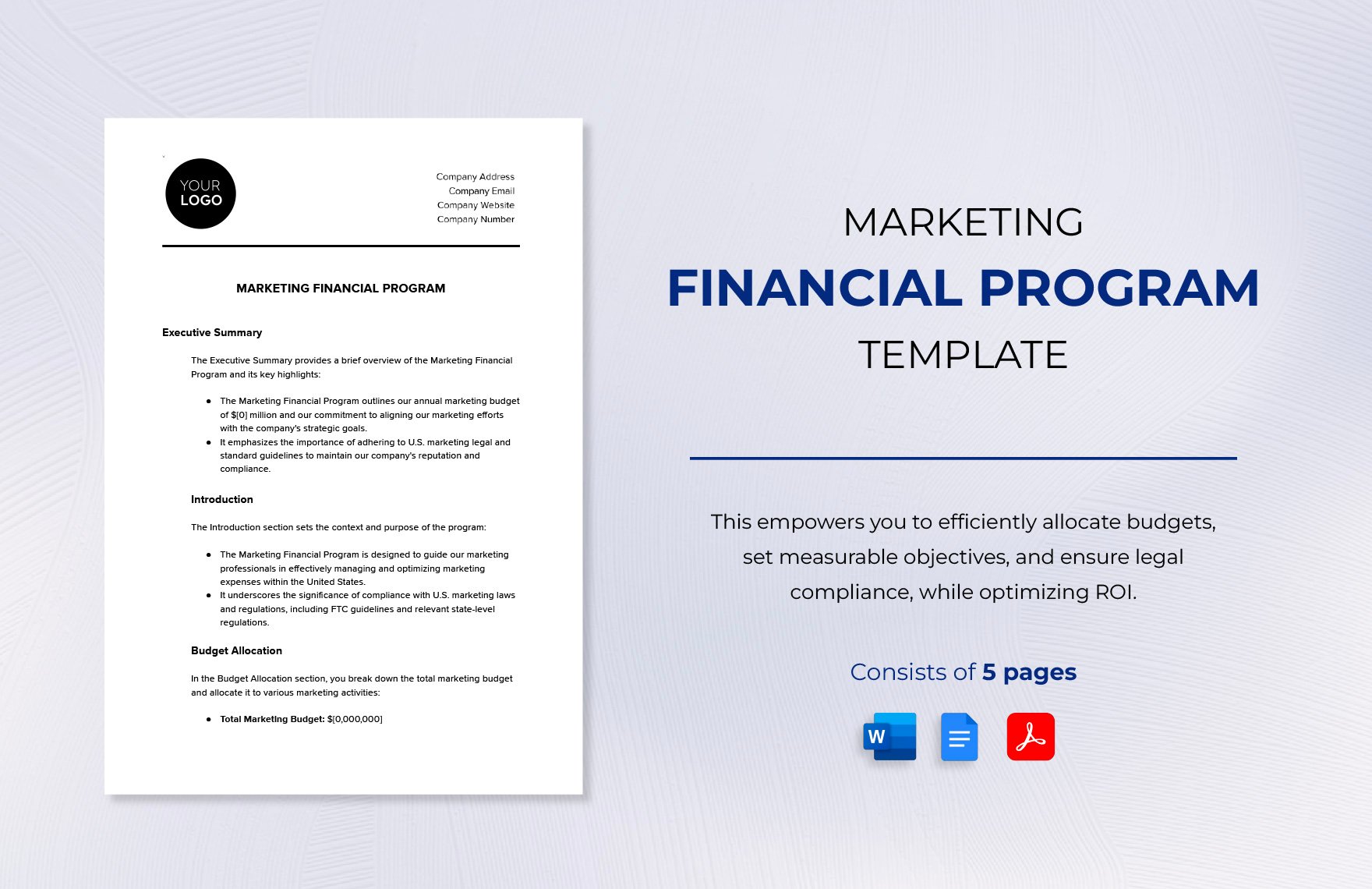 Marketing Financial Program Template