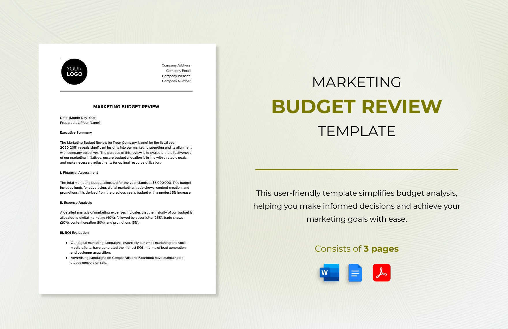 Marketing Budget Review Template