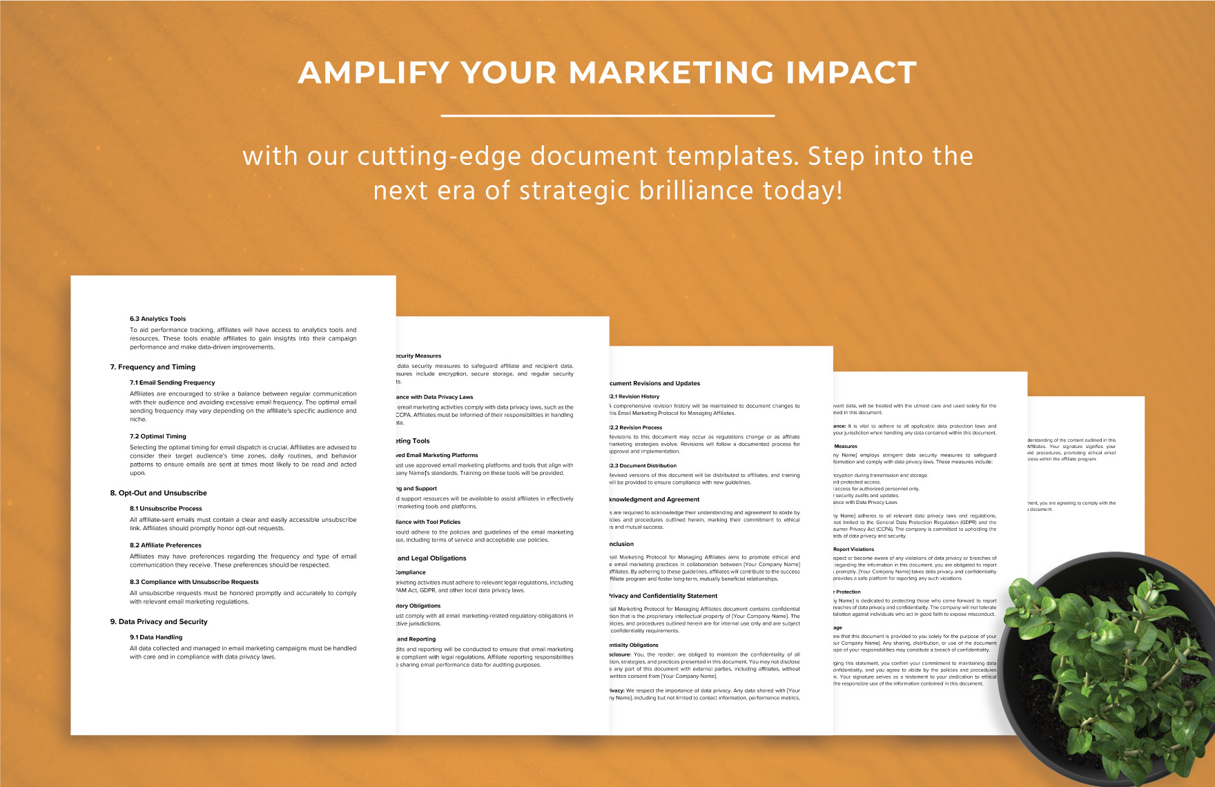 Email Marketing Protocol for Managing Affiliate Template