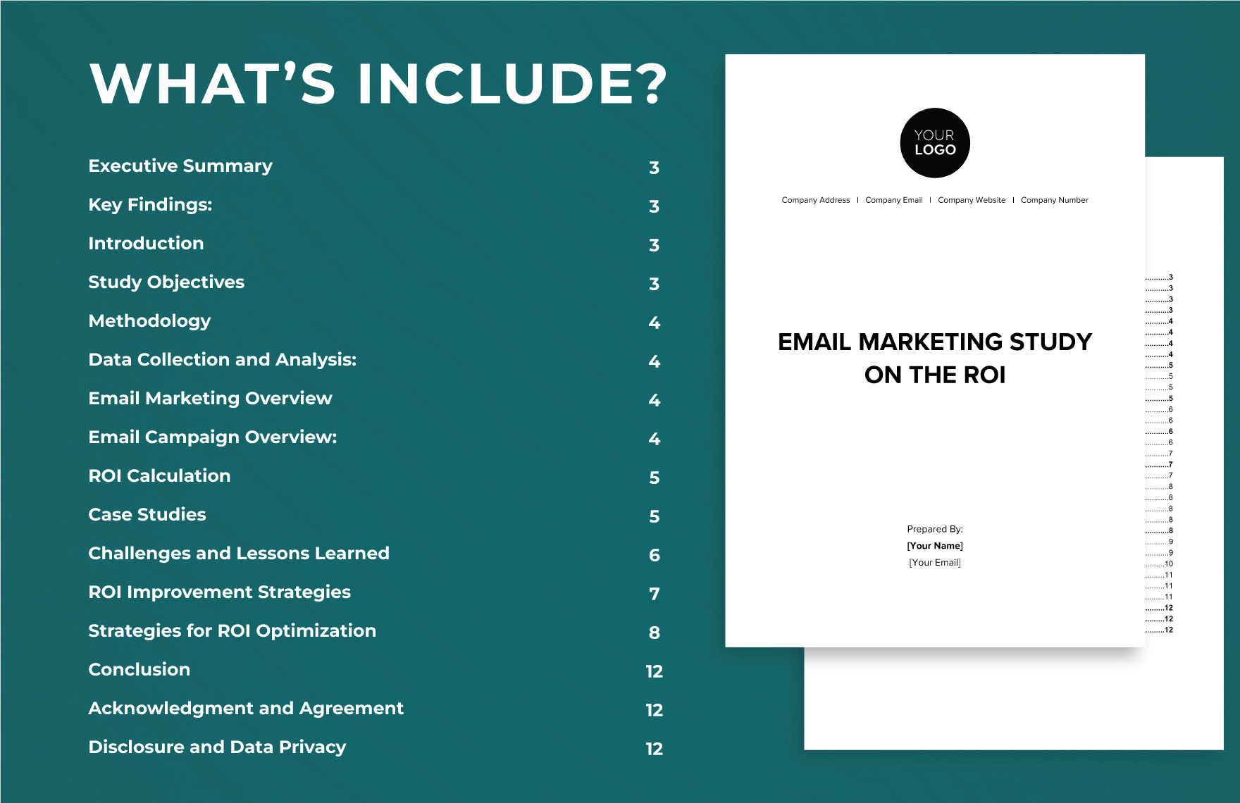 Email Marketing Study on the ROI Template