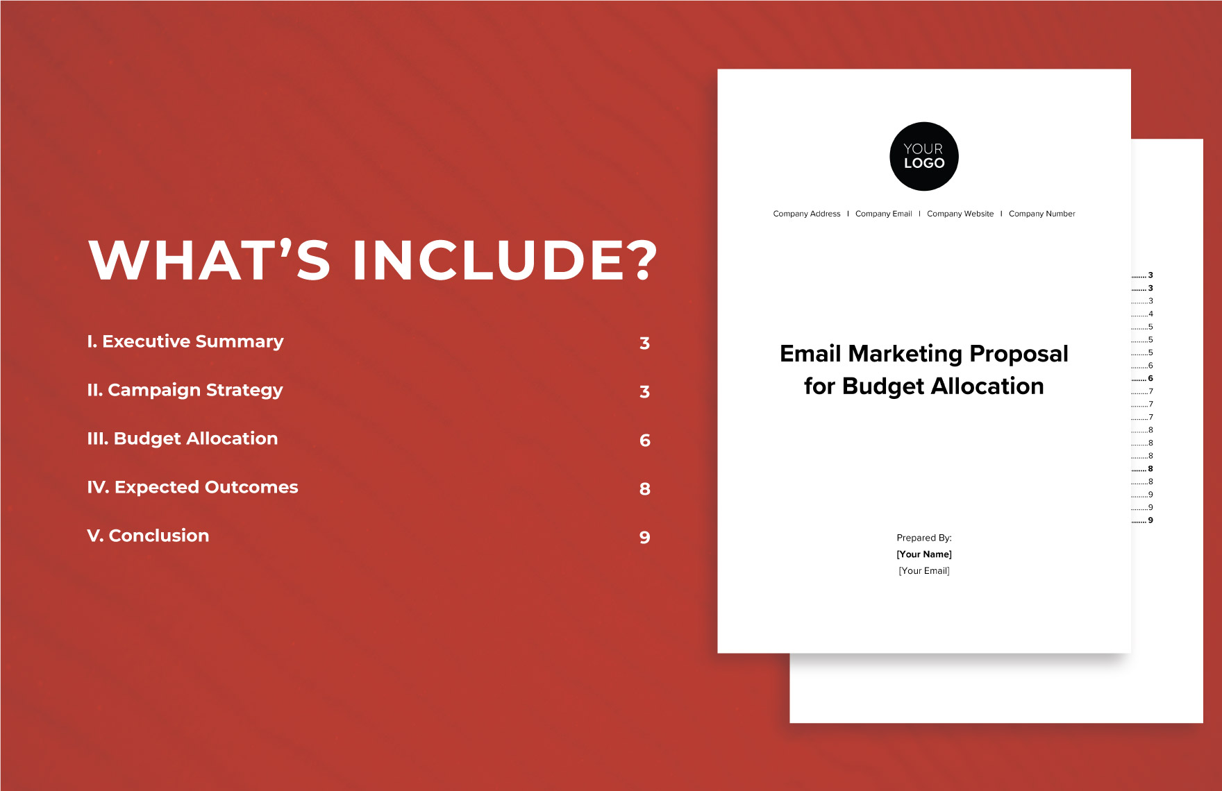 Email Marketing Proposal for Budget Allocation Template