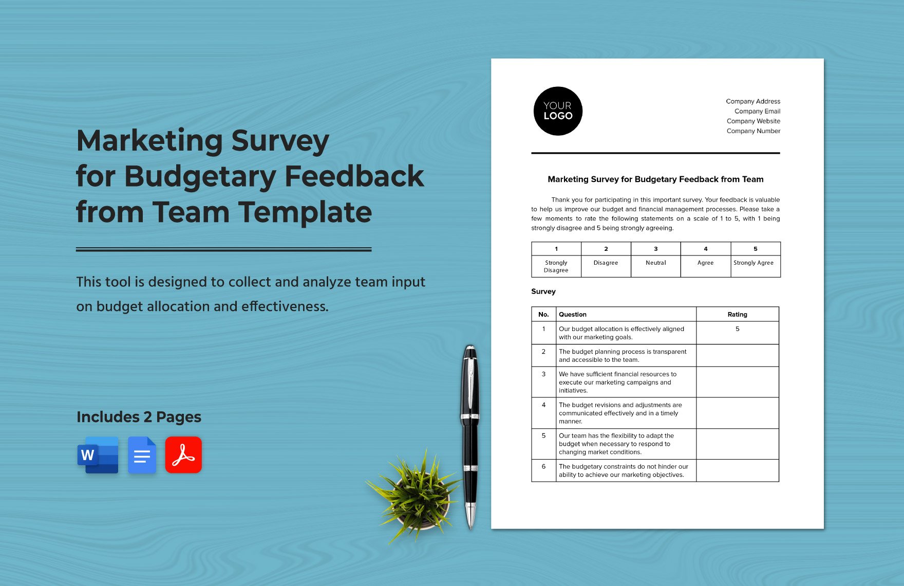 Marketing Survey for Budgetary Feedback from Team Template