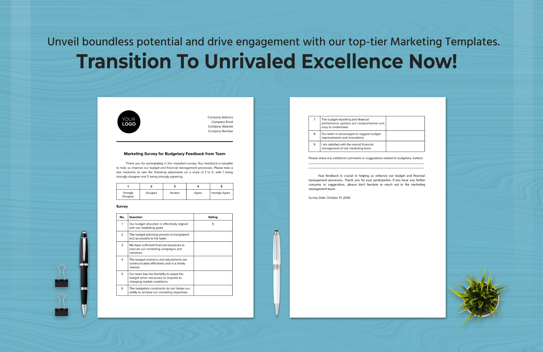 Marketing Survey for Budgetary Feedback from Team Template