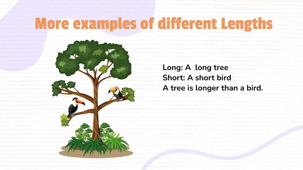 Free Comparing Sizes and Lengths of Object Template to Edit Online
