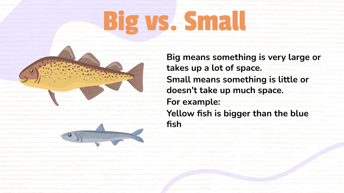 Free Comparing Sizes and Lengths of Object Template to Edit Online