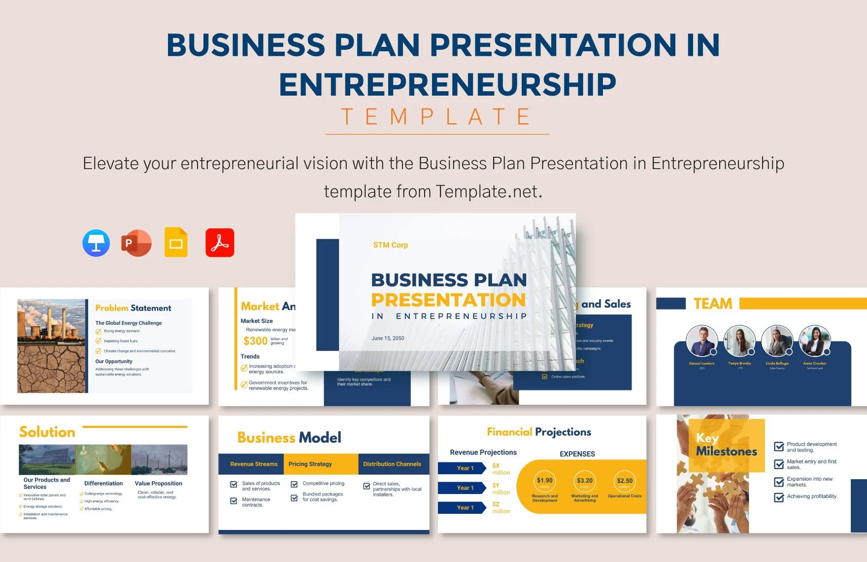 Business Plan in Entrepreneurship Template in PDF, PowerPoint, Google Slides, Apple Keynote