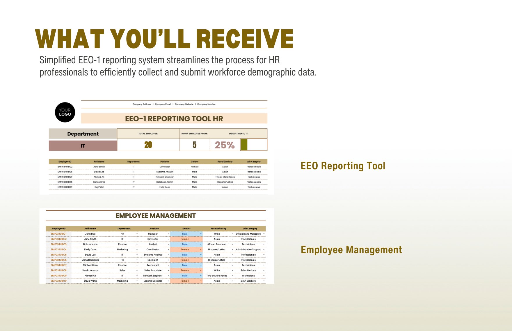 EEO-1 Reporting Tool HR Template