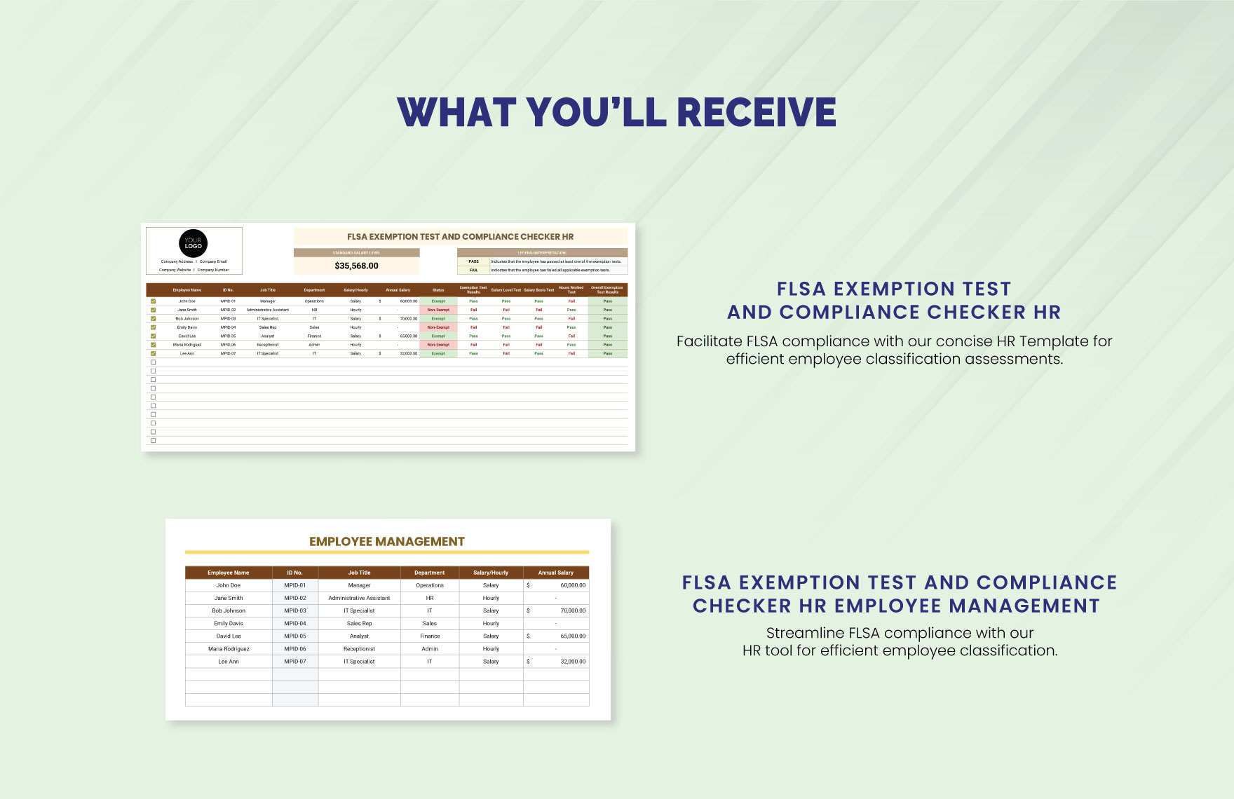 FLSA Exemption Test and Compliance Checker HR Template